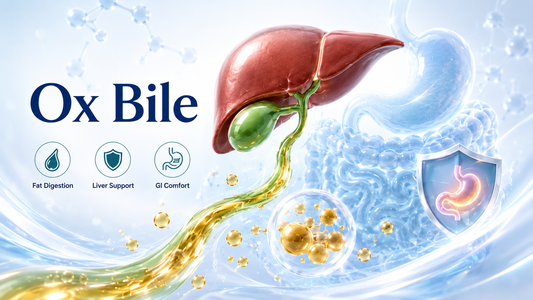 Ox Bile and Real User Experiences: Why People Look for Bile Support After Fatty Meals